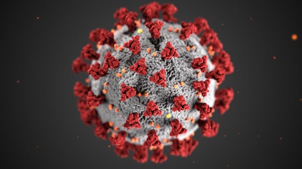 Coronavirus glossary: Key terms around the pandemic - Los Angeles ...